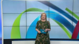 Yle Uutiset Uusimaa 23-05-2019 klo 18-21: 23.05.2019 18.37