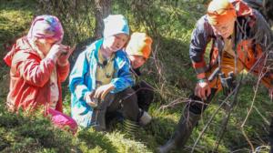 Majava: 01.06.2019 10.00