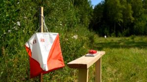 Världscupen i orientering, damernas medeldistans (svenskt referat): 08.06.2019 13.00