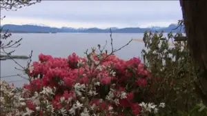 Iloa puutarhasta: 28.06.2019 09.00