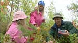 Metsäretki: 05.07.2019 10.00