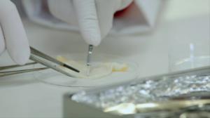 Eurooppalainen keksintöpalkinto 2018: 07.07.2019 12.52