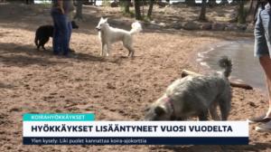 Yle Uutiset klo 7.00: 10.07.2019 07.31