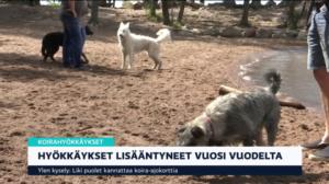 Yle Uutiset klo 9.00: 10.07.2019 09.36