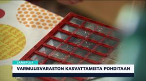 Yle Uutiset klo 9.00: 24.07.2019 09.33