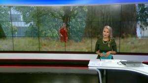 Yle Nyheter TV-nytt: 11.08.2019 19.39