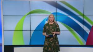 Yle Uutiset Uusimaa 12-08-2019 klo 18-21: 12.08.2019 18.42