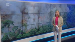 Yle Uutiset: 22.08.2019 20.55