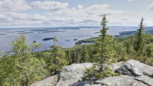 Suomen luonnon päivä sai ihmiset lähtemään metsään: 02.09.2019 10.00