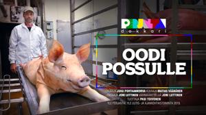 Oodi possulle: 09.09.2019 00.01