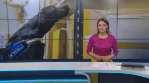 Yle Uutiset: 09.09.2019 18.21