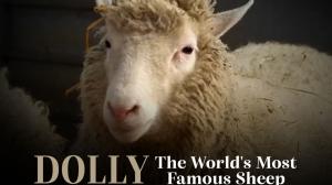 Dolly - maailman kuuluisin lammas