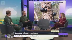 Sää ja luonto