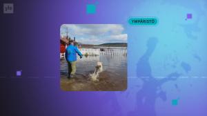 Yle Uutiset
