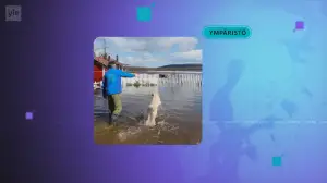 Yle Uutiset