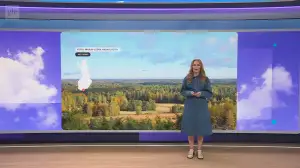 Sää