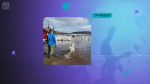 Yle Uutiset