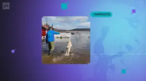 Yle Uutiset