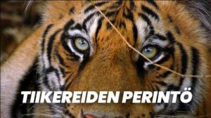 Tiikereiden perintö
