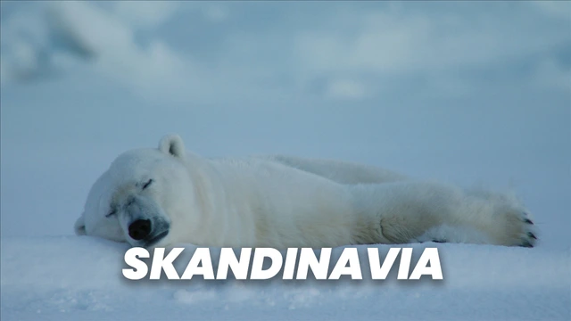 Skandinavia