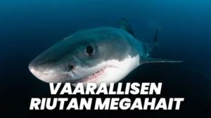 Vaarallisen riutan megahait