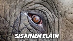 Sisäinen eläin