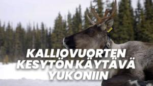 Kalliovuorten kesytön käytävä: Yellowstonesta Yukoniin