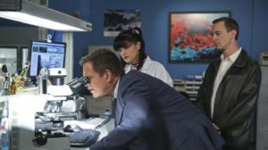 NCIS (Paramount+) (12) - 16 Years