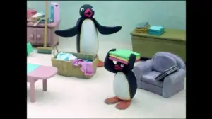 Pingu (S) - Pingu (S)