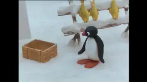 Pingu (S) - Pingu (S)