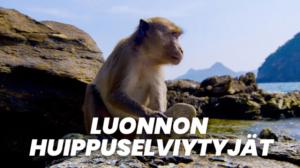 Luonnon huippuselviytyjät