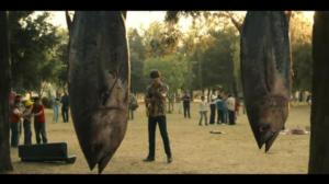 Narcos: Mexico (12) - Taka-askelia