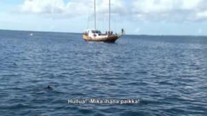 Unelmien poikamiestyttö - Viimeinen ruusu