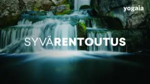 Syvärentoutus - Lempeä joulukuu - Syvärentoutus