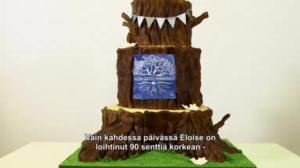 Huikeat kakkutaiturit - Lasten ja suvun juhlaa