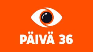 Big Brother Suomi - Onnea ja onnettomuutta