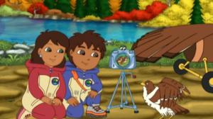 Go, Diego, Go! (S) - Jorge the Little Hawk Learns to Migrate