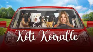 Koti koiralle - Unelmana koira