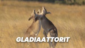 Gladiaattorit