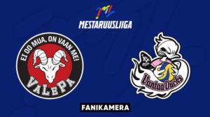 VaLePa - Ducks, Fanikamera - VaLePa - Ducks, Fanikamera 12.1.