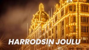 Liv D: Harrodsin joulu - Liv D: Harrodsin joulu