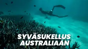 Syväsukellus Australiaan