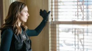 Chicago P.D. (16) - Luottamuksellista