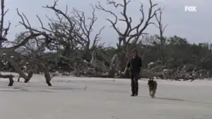 The Walking Dead (16) - Lines We Cross