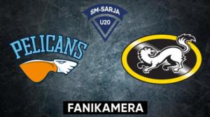 Pelicans - Kärpät, Fanikamera - Pelicans - Kärpät, Fanikamera 28.11.