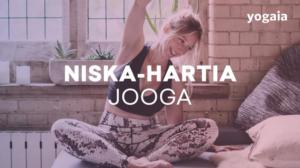 Niska-hartiajooga - Niska-hartiajooga