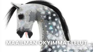 Maailman ökyimmät lelut - Liv D: Maailman ökyimmät lelut