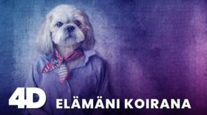 4D: Elämäni koirana (7) - 4D: Elämäni koirana