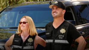 CSI: Crime Scene Investigation (12) - Road to Recovery