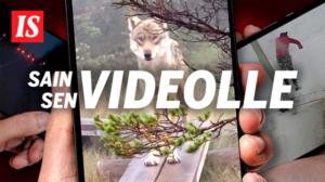 IS esittää: Sain sen videolle (S) - IS esittää: Sain sen videolle (S)